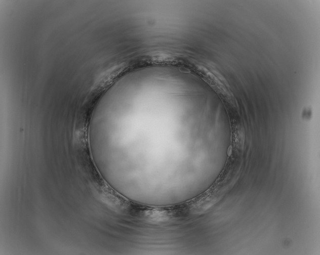 X0000090970419200708161839