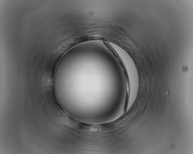 X0000090970420200708161839