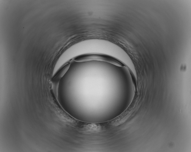 X0000090970421200708161839