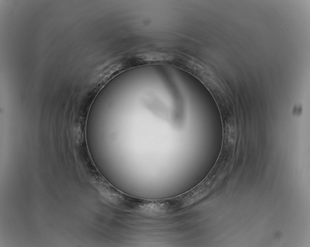 X0000090970422200708161839