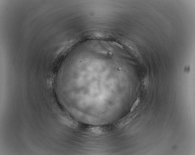 X0000090970423200708161839