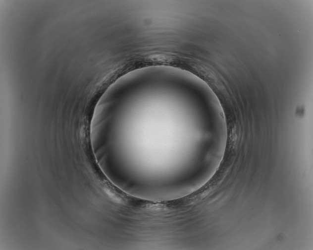 X0000090970424200708161839