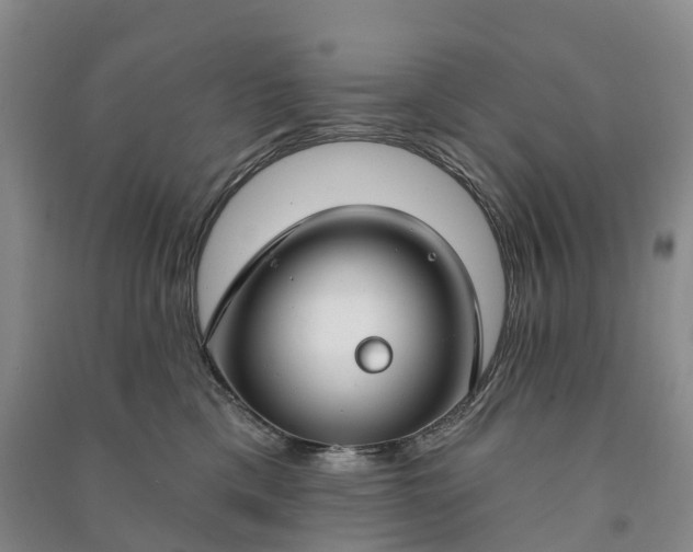 X0000090970425200708161839