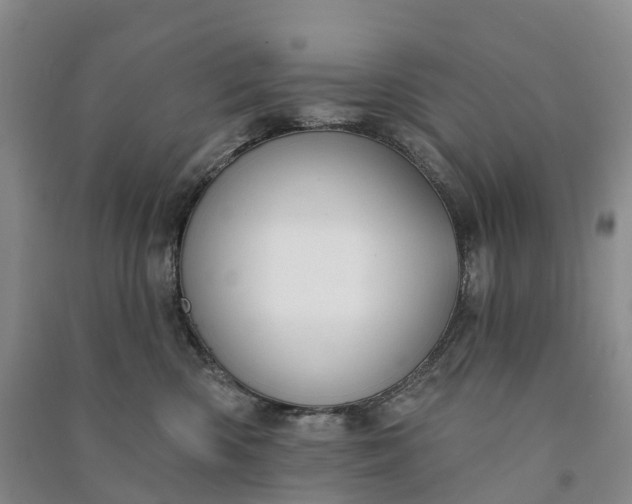 X0000090970426200708161839