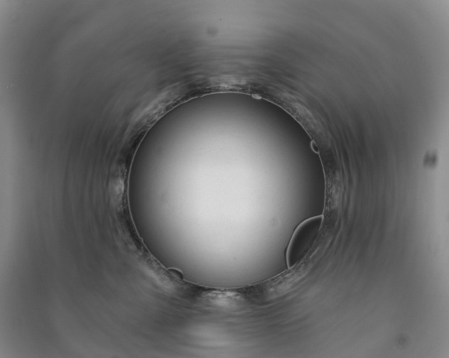 X0000090970427200708161839