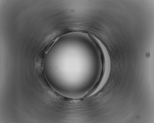 X0000090970428200708161839