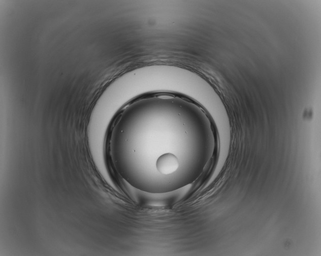 X0000090970429200708161839