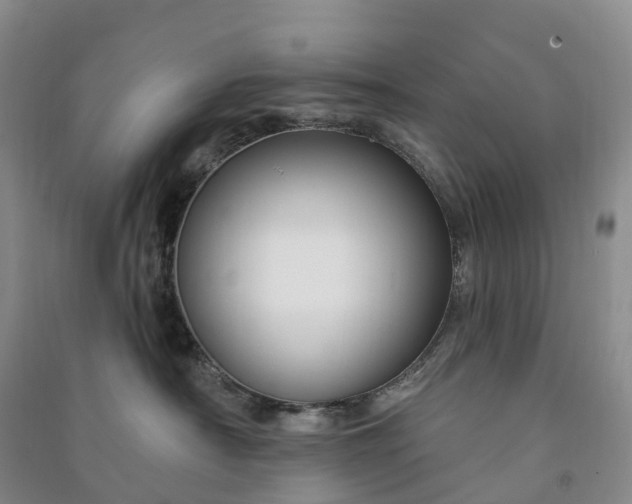 X0000090970430200708161839