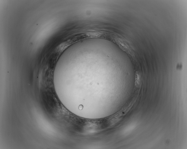 X0000090970431200708161839