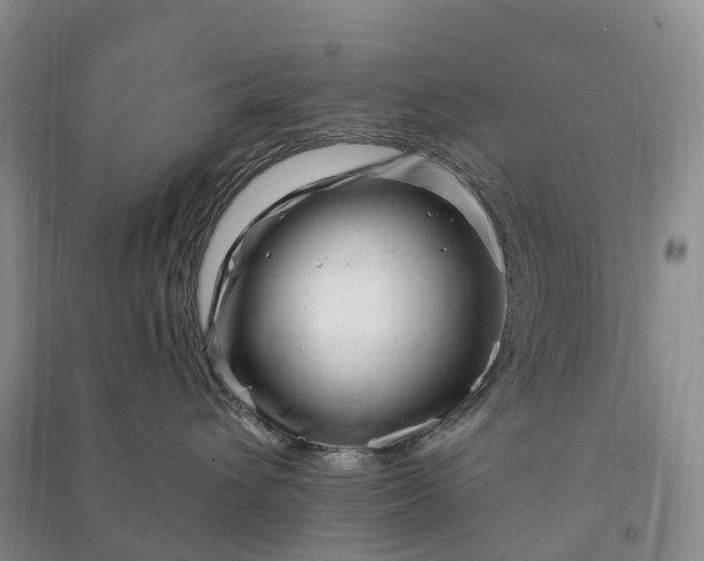 X0000090970432200708161839