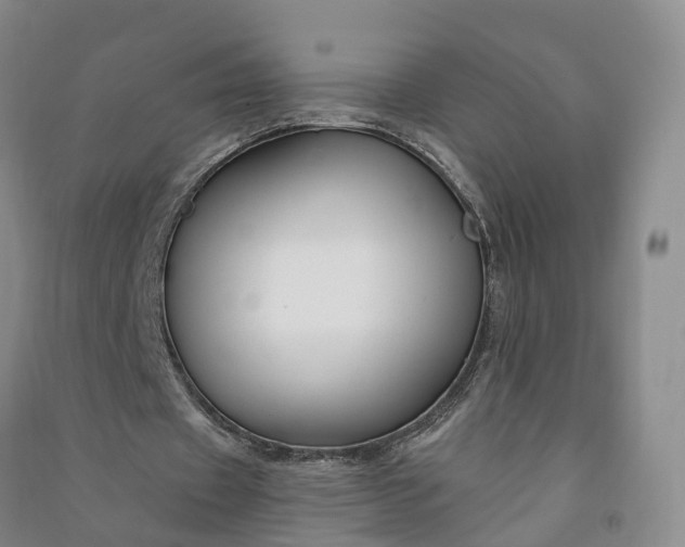 X0000090970433200708161839