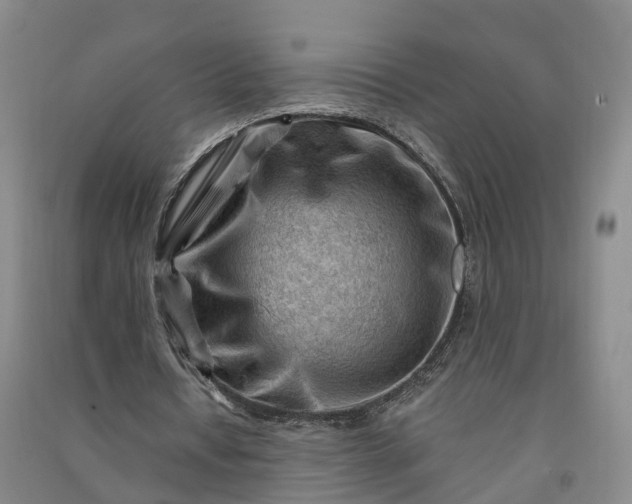 X0000090970434200708161839