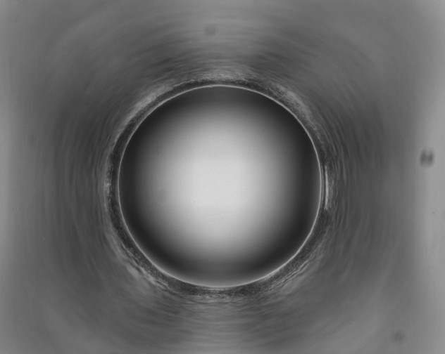 X0000090970435200708161839