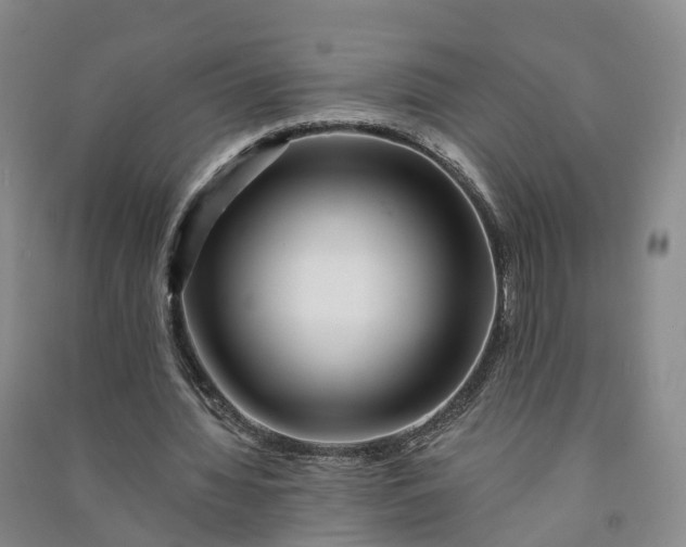 X0000090970436200708161839