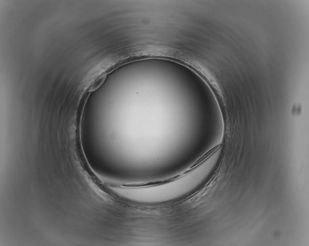 X0000090970437200708161839