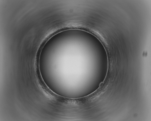 X0000090970439200708161839