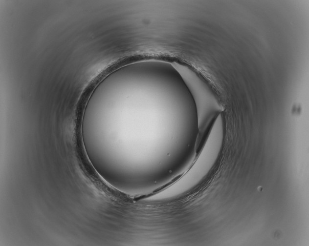 X0000090970440200708161839