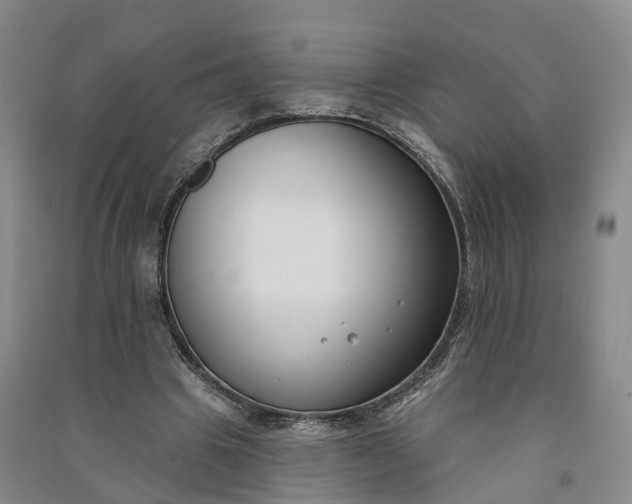 X0000090970441200708161839