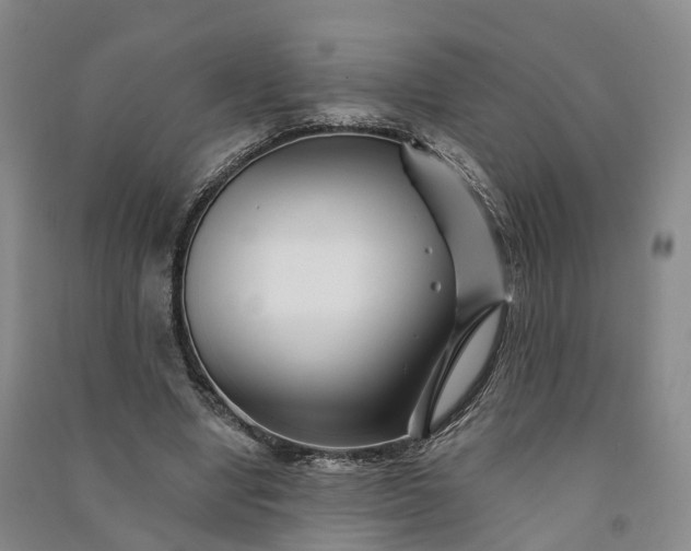 X0000090970442200708161839