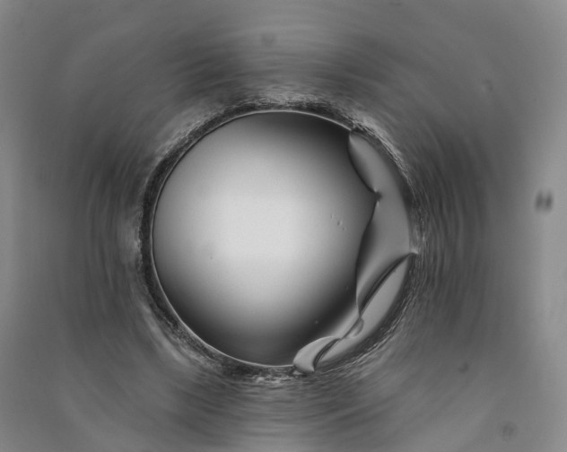 X0000090970443200708161839