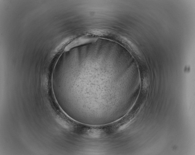 X0000090970444200708161839