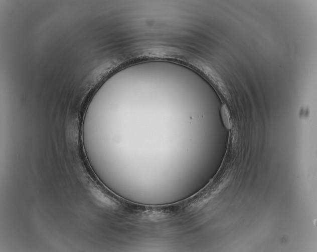 X0000090970445200708161839