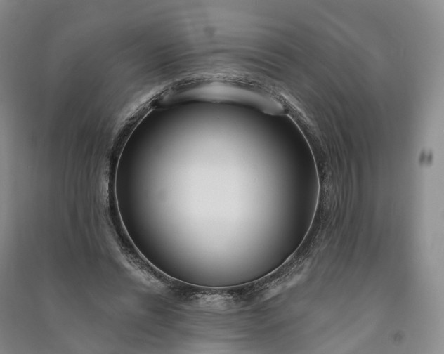 X0000090970446200708161839