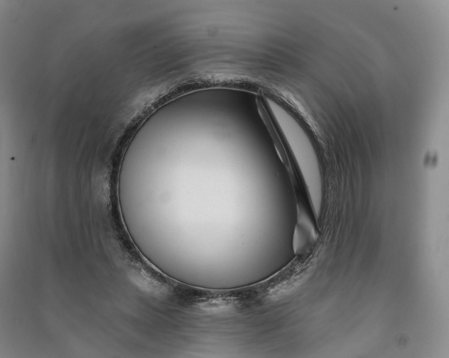 X0000090970447200708161839