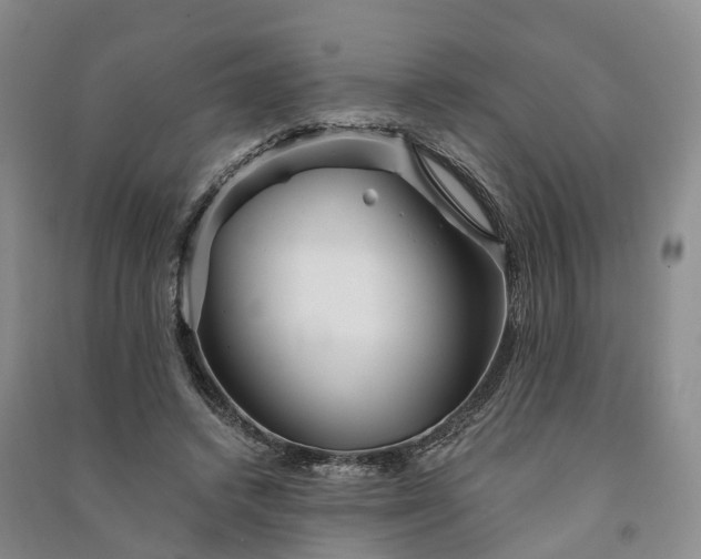 X0000090970448200708161839