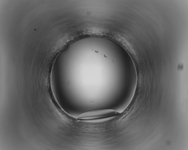 X0000090970449200708161839