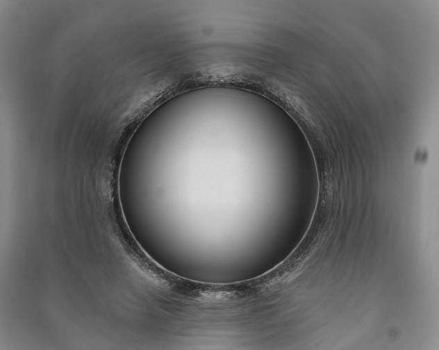 X0000090970450200708161839