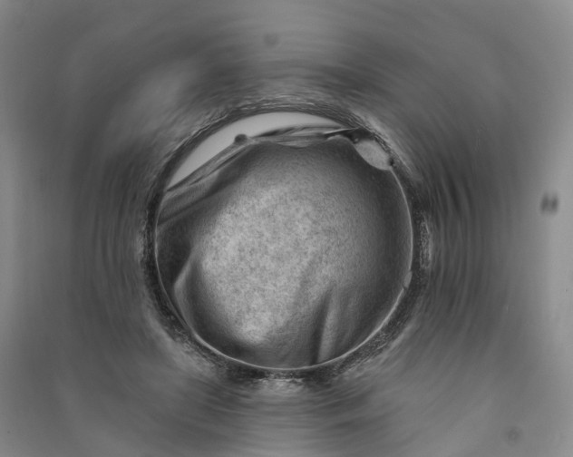 X0000090970451200708161839