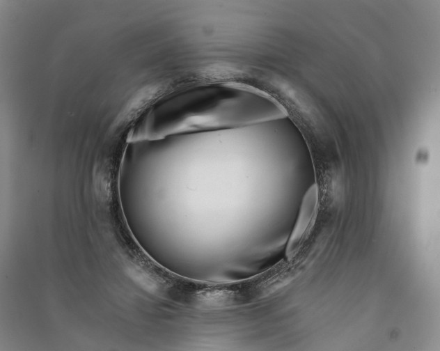 X0000090970452200708161839