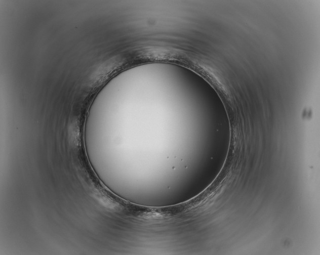 X0000090970453200708161839