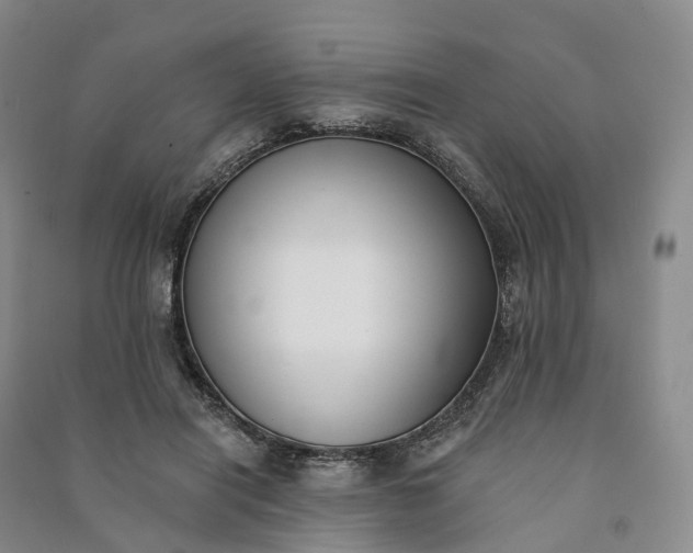 X0000090970454200708161839