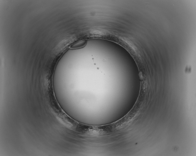 X0000090970455200708161839