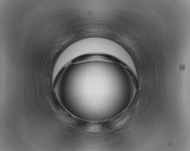 X0000090970456200708161839