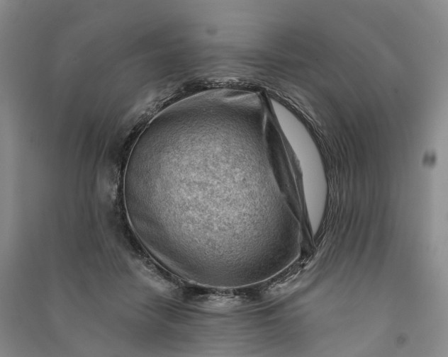 X0000090970458200708161839