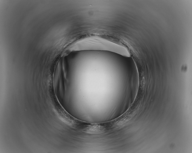 X0000090970459200708161839