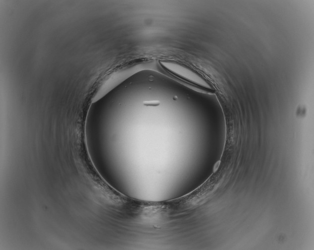 X0000090970461200708161839