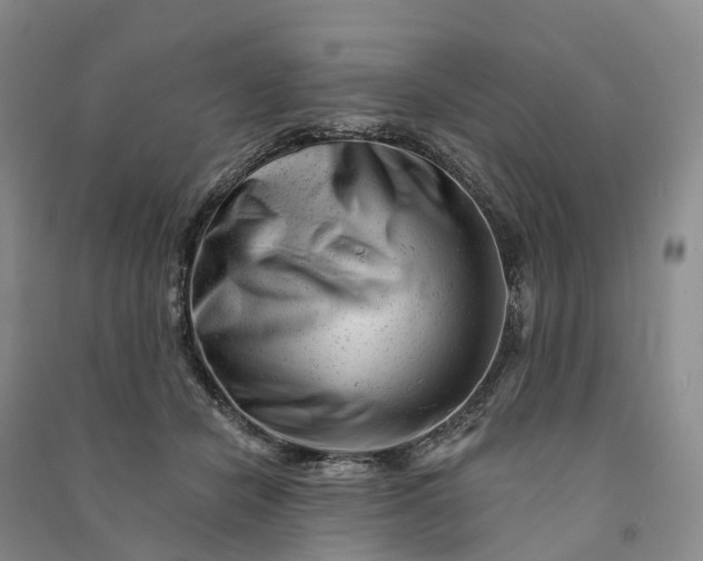 X0000090970462200708161839