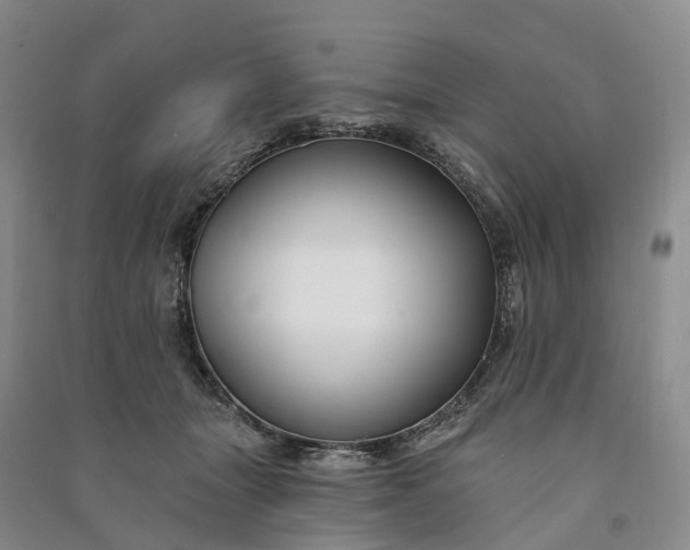 X0000090970463200708161839