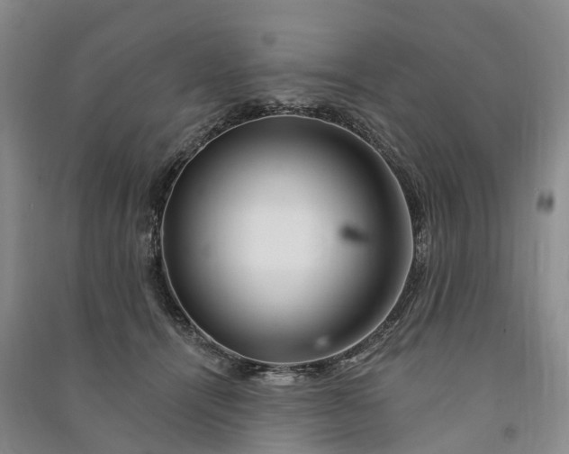 X0000090970464200708161839