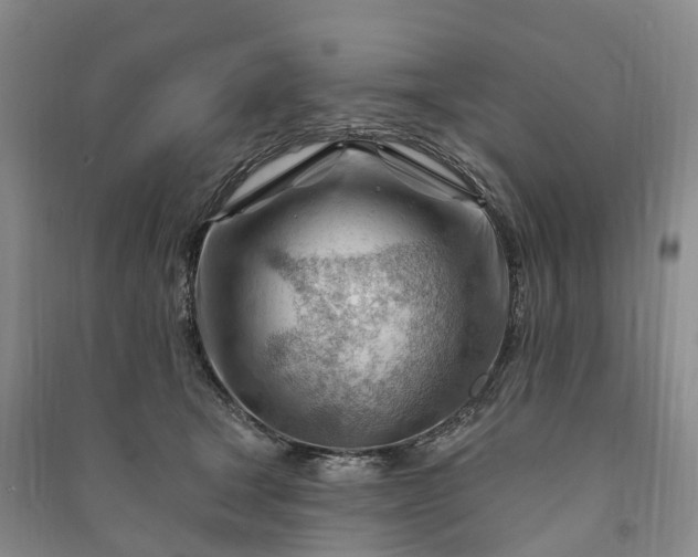 X0000090970465200708161839