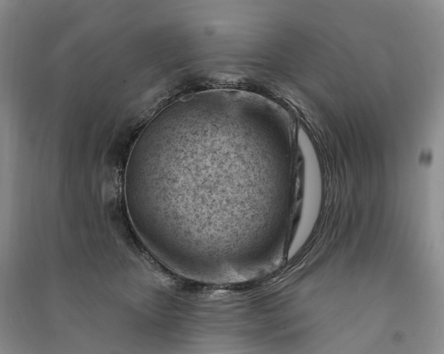 X0000090970467200708161839