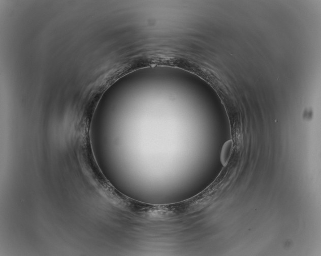 X0000090970468200708161839