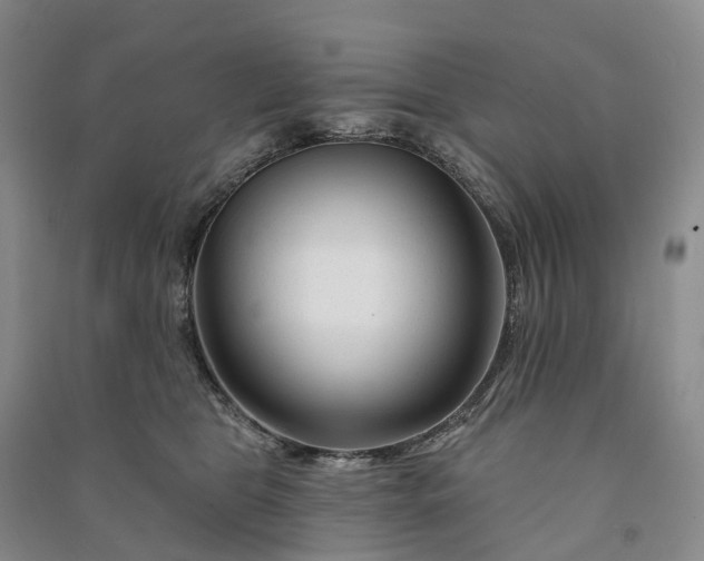 X0000090970469200708161839