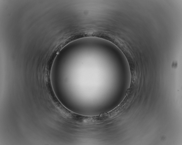 X0000090970470200708161839