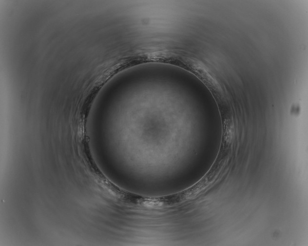 X0000090970471200708161839