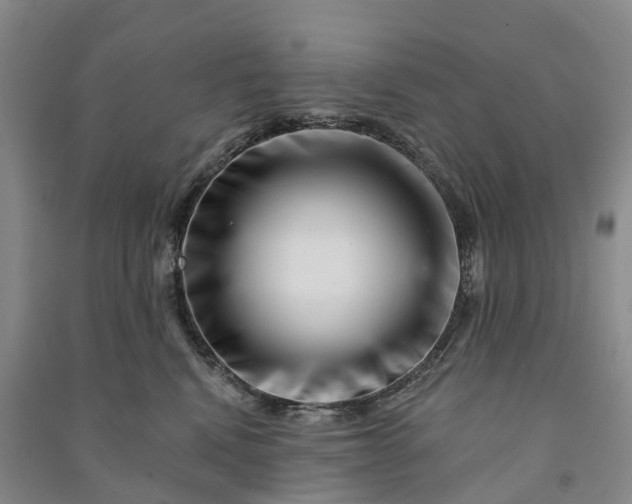 X0000090970472200708161839